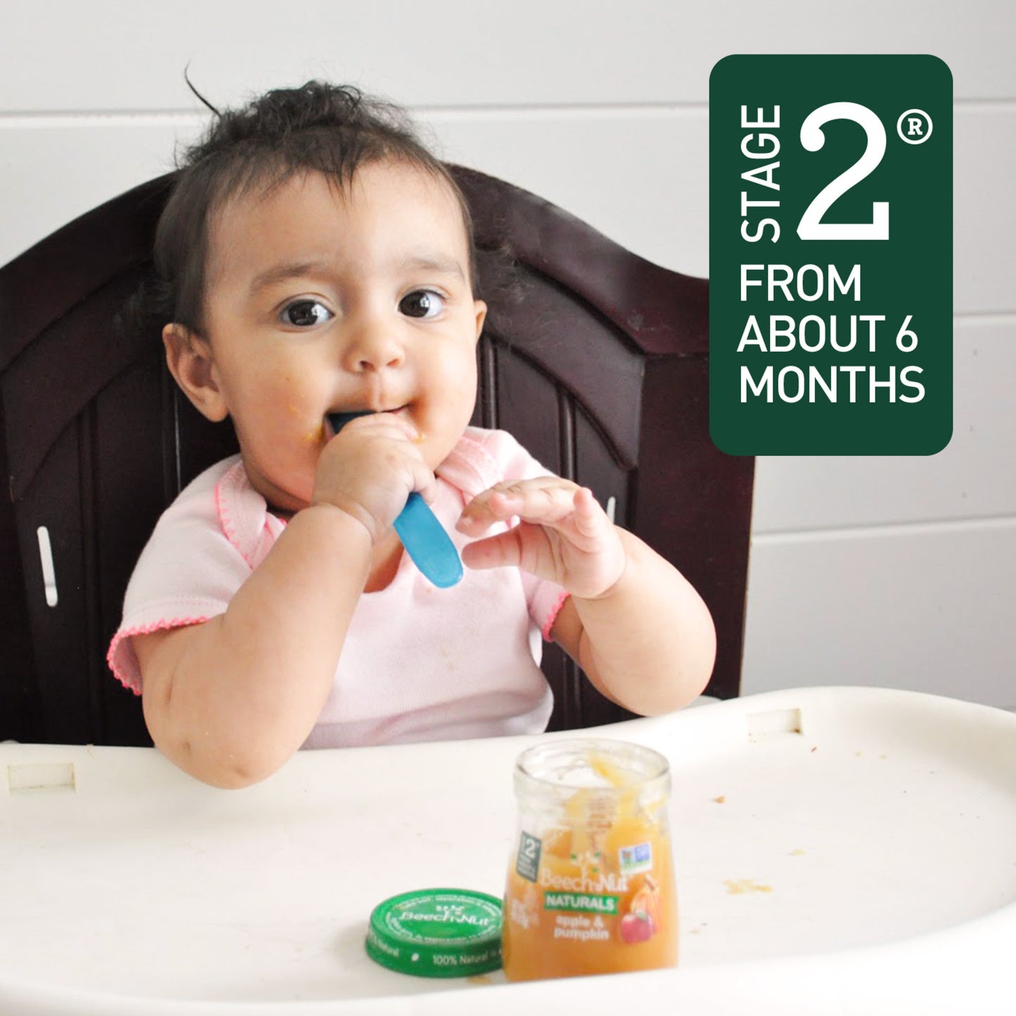 Beech-Nut Fruities Stage 2 Baby Food Variety Pack, 3.5 oz Pouch (9 Pack)